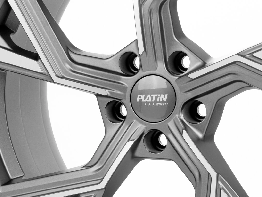 Platin P100