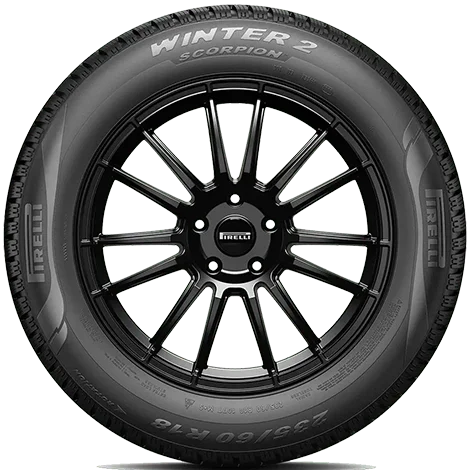 Scorpion Winter 2 Image